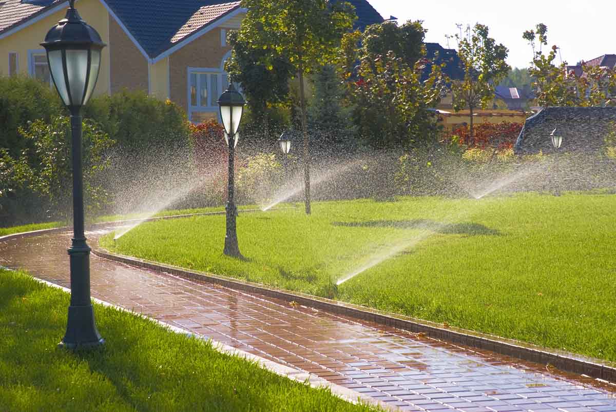 Irrigation System Installation in Bristow project 1