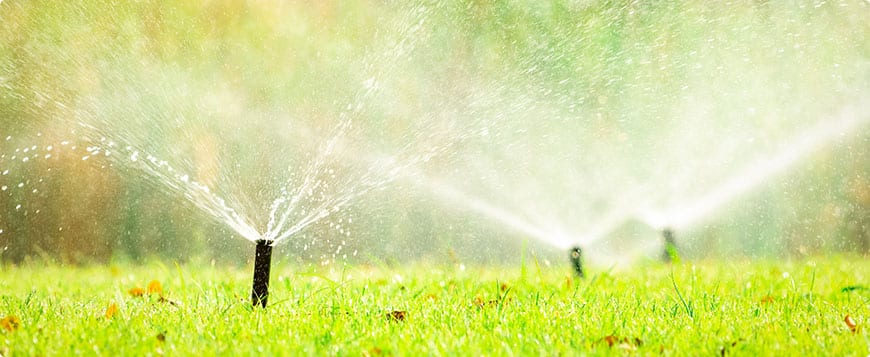 Irrigation System Installation in Bristow project 6