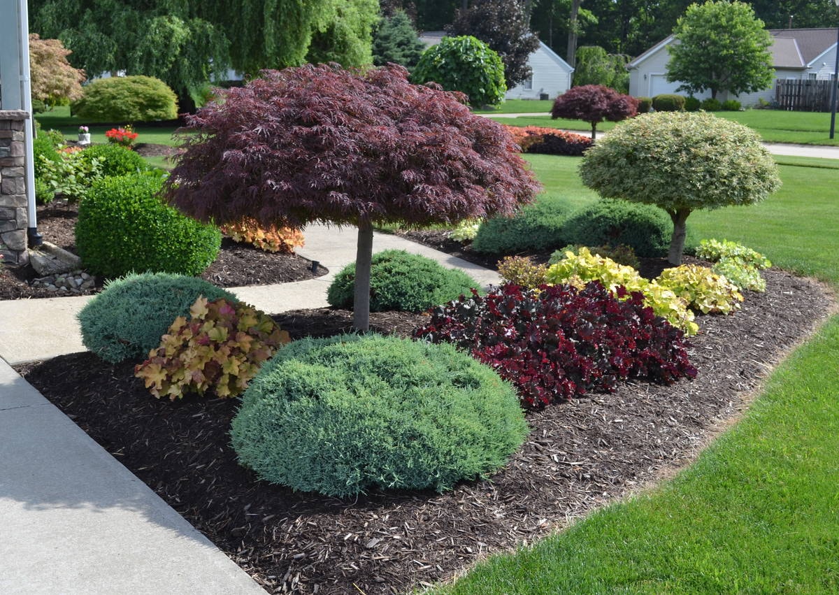 Landscape Design in Bristow project 7