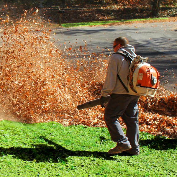 Leaf Removal in Manassas project 4