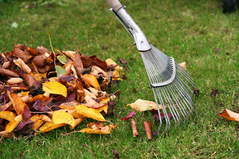 Leaf Removal in Manassas project 5