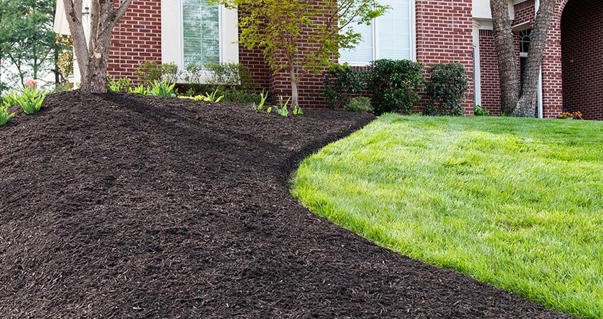 Mulch Installation in Bristow project 2