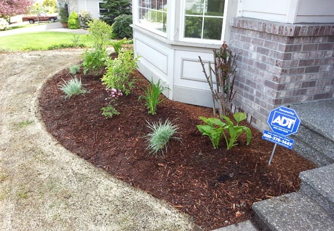 Mulch Installation in Bristow project 3