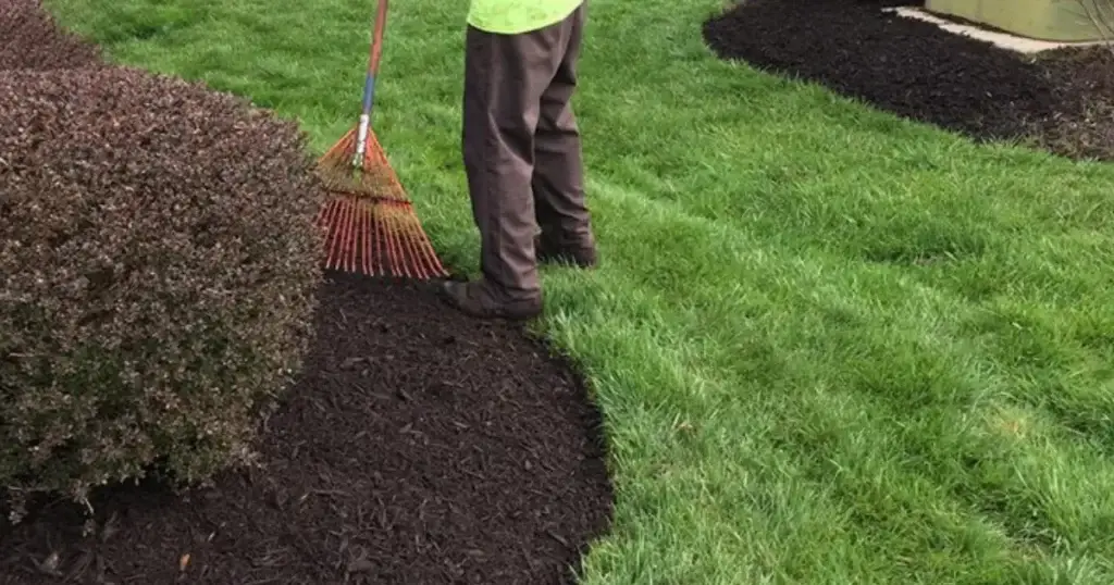 Mulch Installation in Bristow project 7