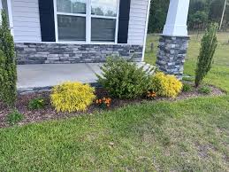 Tree & Shrub Planting in Gainesville project 5