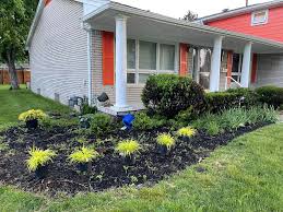 Tree & Shrub Planting in Gainesville project 6