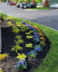 Tree & Shrub Planting in Gainesville project 7