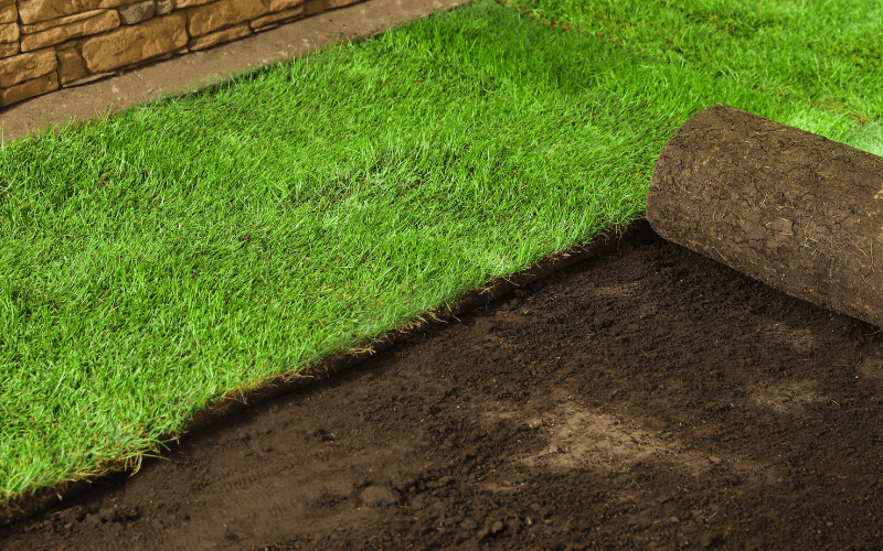 Sod Installation in Bristow project 1