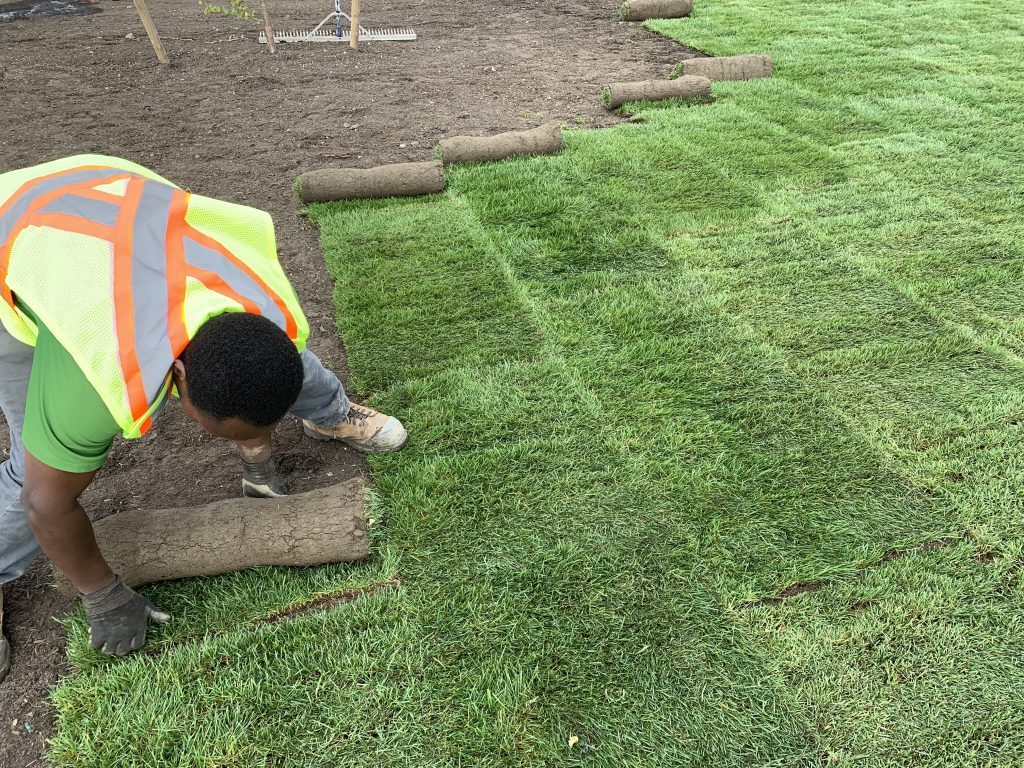 Sod Installation in Bristow project 2
