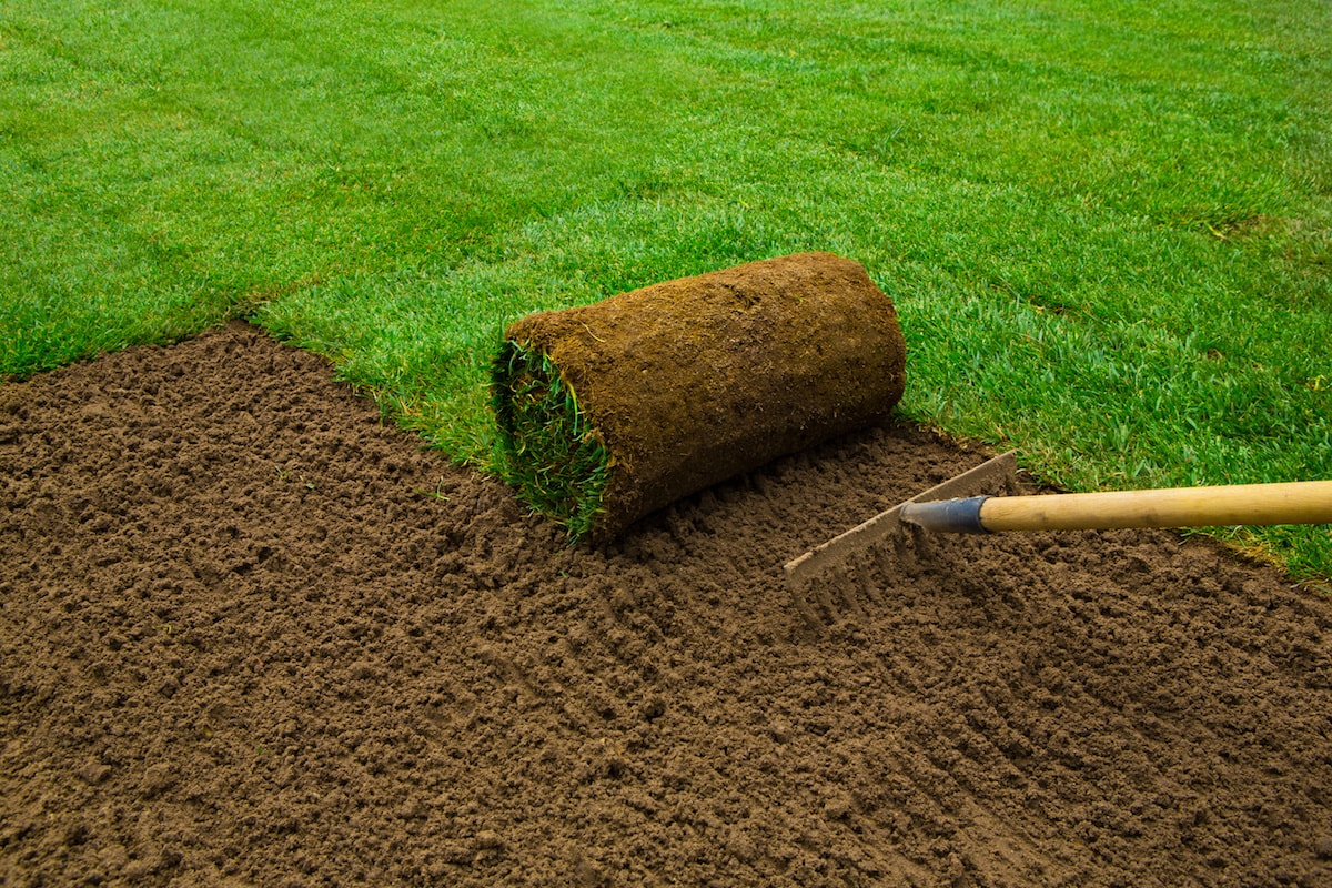 Sod Installation in Bristow project 3