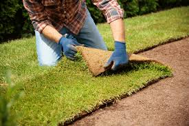 Sod Installation in Bristow project 4