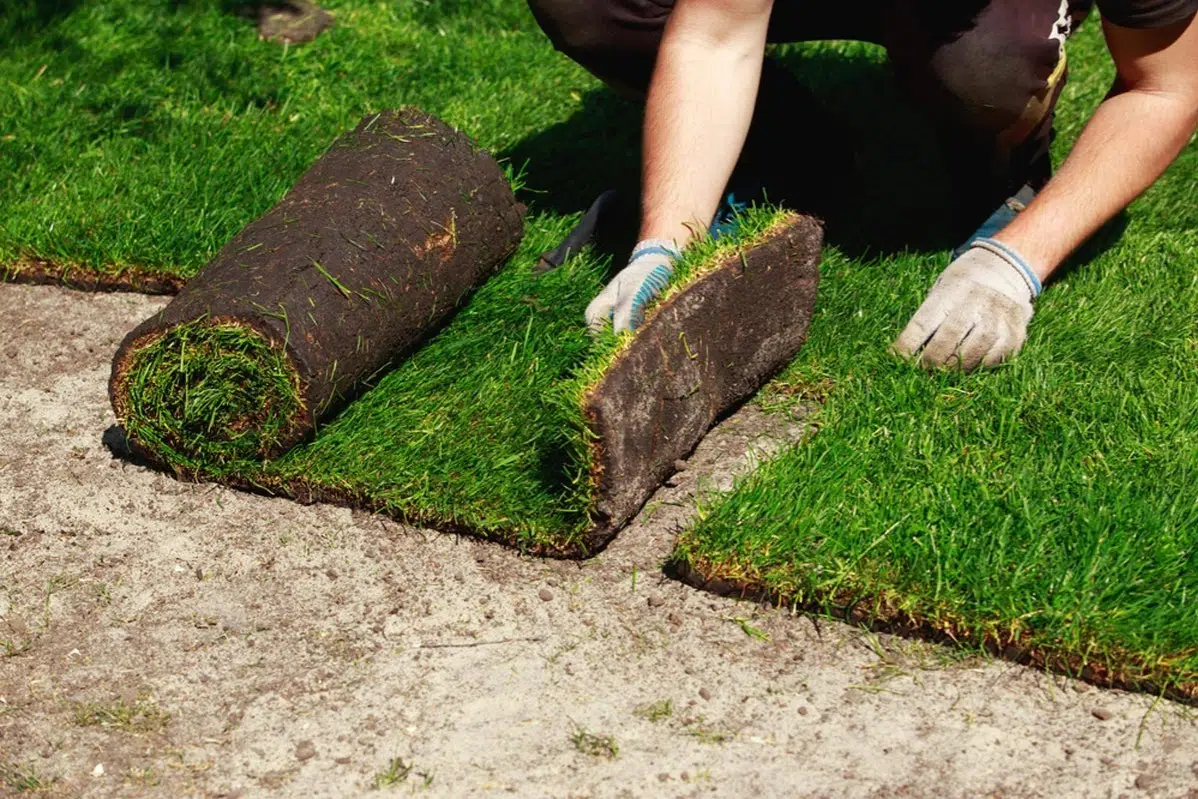 Sod Installation in Bristow project 5