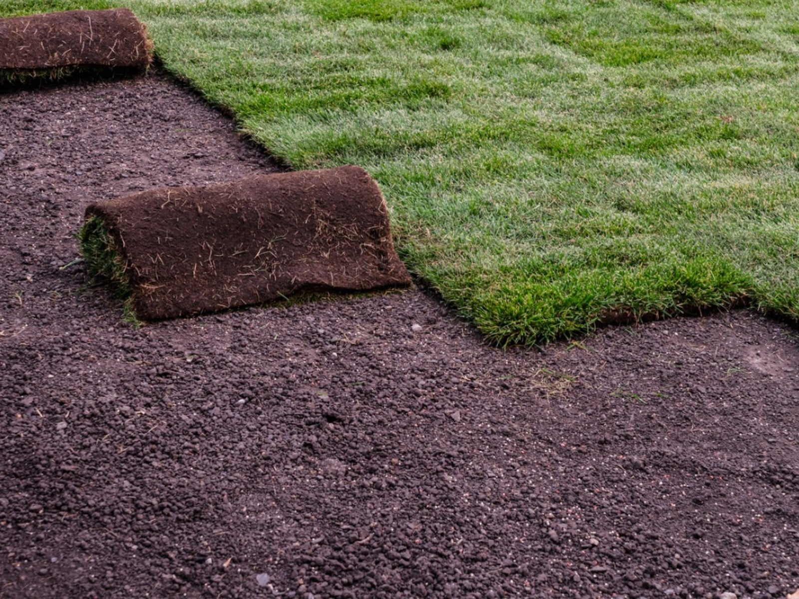 Sod Installation in Bristow project 6